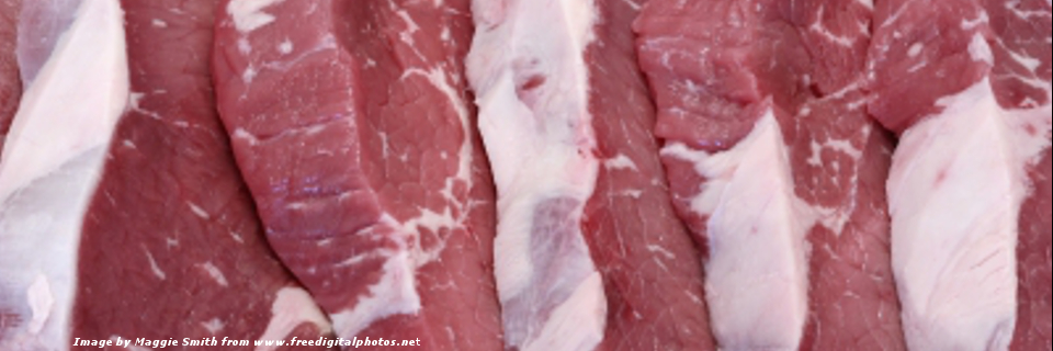 Scientific Opinion on the public health risks related to the maintenance of the cold chain during storage and transport of meat. Part 1 (meat of domestic ungulates)