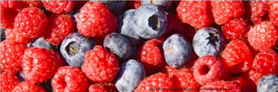 Scientific Opinion on the risk posed by pathogens in food of non-animal origin. Part 2 (Salmonella and Norovirus in berries)