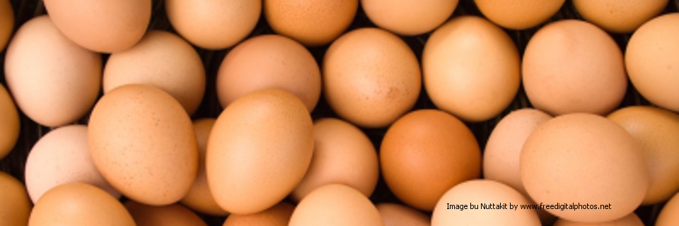 Scientific Opinion on the public health risks of table eggs due to deterioration and development of pathogens