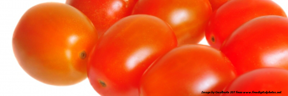 Scientific Opinion on the risk posed by pathogens in food of non-animal origin. Part 2 (Salmonella and Norovirus in tomatoes)