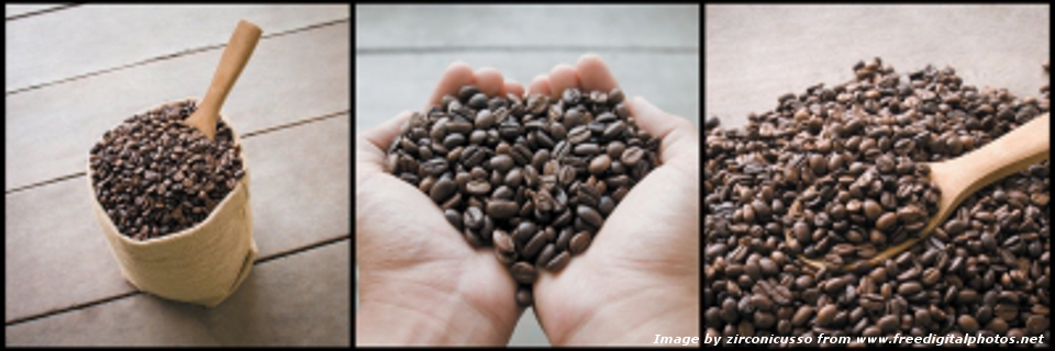 Caffeina: l’EFSA stima il livello di sicurezza per il consumo