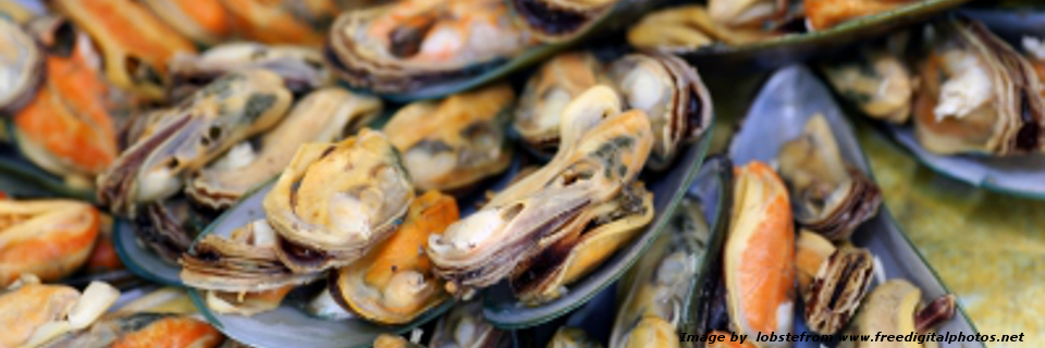 L’EFSA si pronuncia sul trattamento termico dei molluschi bivalvi