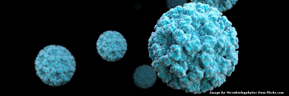 Virus di origine alimentare: individuare le esigenze di ricerca per contrastare i rischi per la salute pubblica